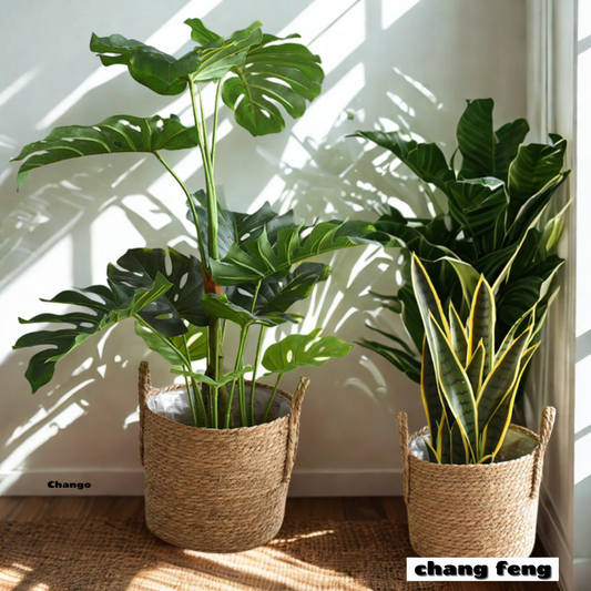 Nordic Rattan Planter Set - Eco-Friendly Woven Basket for Plants/Storage1